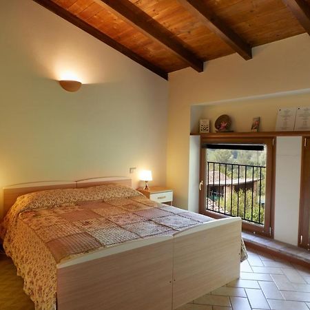 Agriturismo Ca' Del Ciuco Vezzano sul Crostolo Ngoại thất bức ảnh